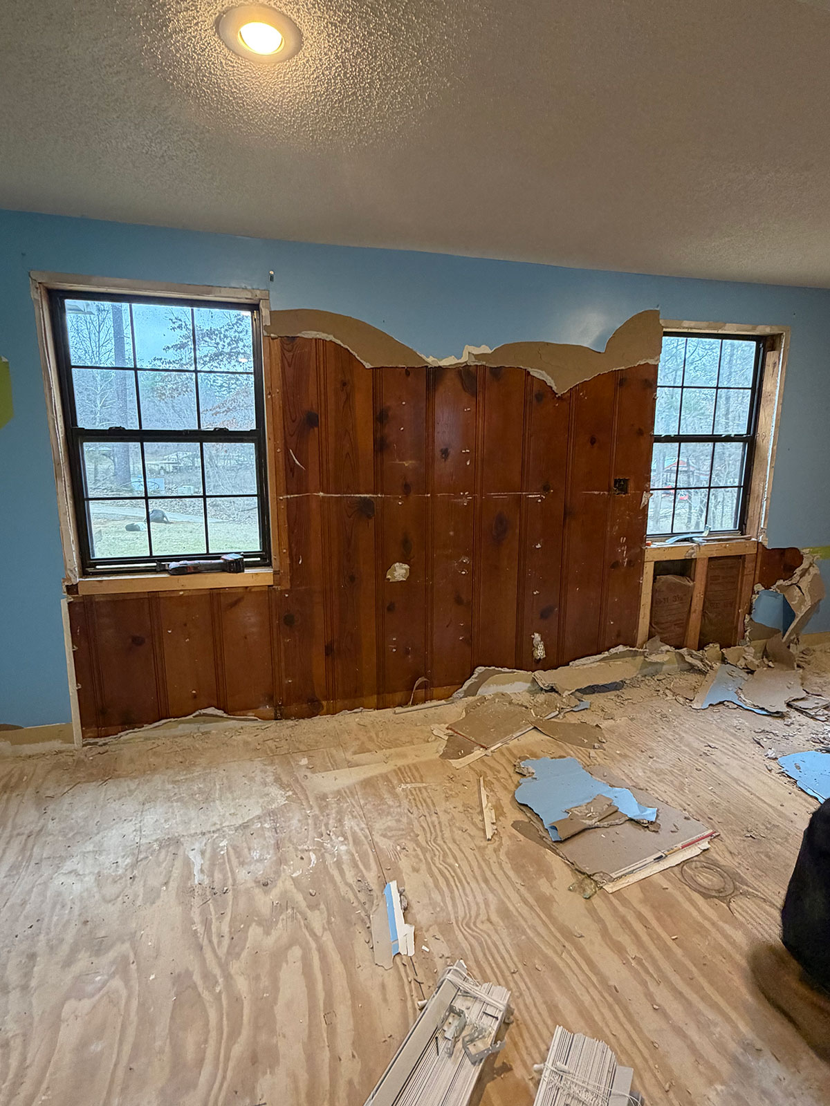 Interior demolition and drywall removal in progress